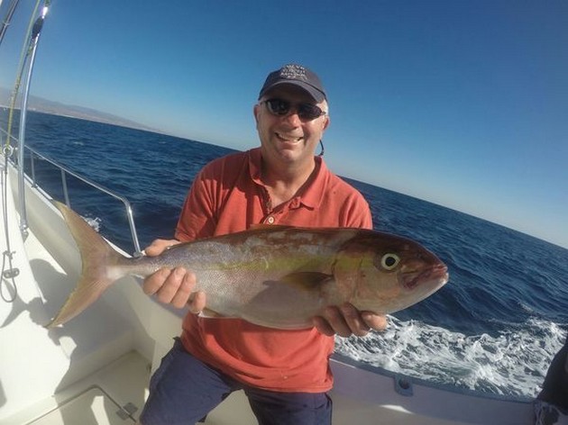 Amberjack Cavalier & Blue Marlin Sport Fishing Gran Canaria