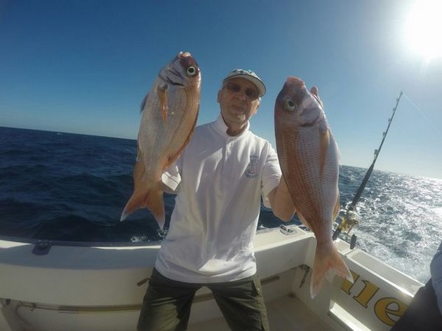Red Snappers - Nice catch of Red Snappers Cavalier & Blue Marlin Sport Fishing Gran Canaria