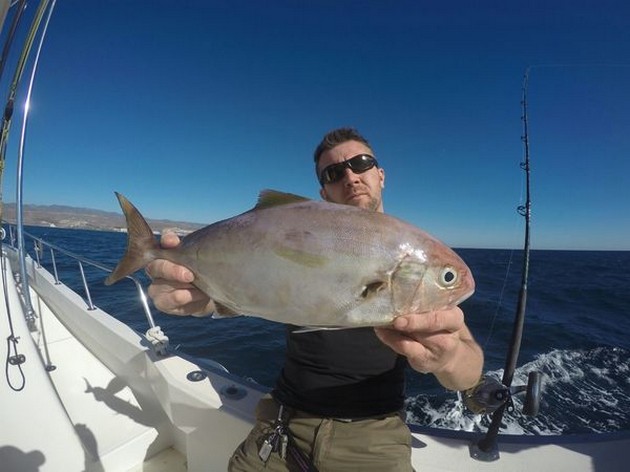 Amberjack Cavalier & Blue Marlin Sport Fishing Gran Canaria
