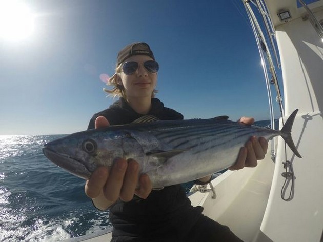 North Atlantic Bonito Cavalier & Blue Marlin Sport Fishing Gran Canaria