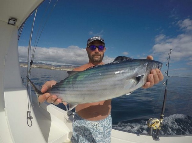 North Atlantic Bonito Cavalier & Blue Marlin Sport Fishing Gran Canaria