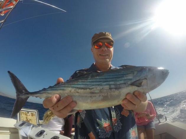 North Atlantic Bonito Cavalier & Blue Marlin Sport Fishing Gran Canaria