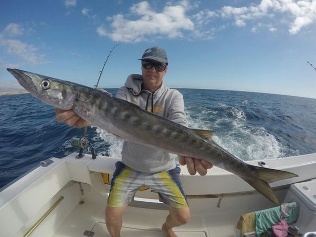 Barracuda caught by Kaarlo Salkunen Cavalier & Blue Marlin Sport Fishing Gran Canaria