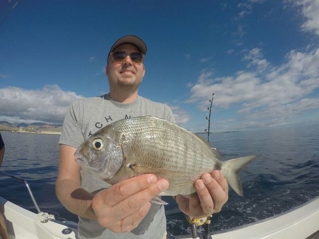 Sea Bream Cavalier & Blue Marlin Sport Fishing Gran Canaria