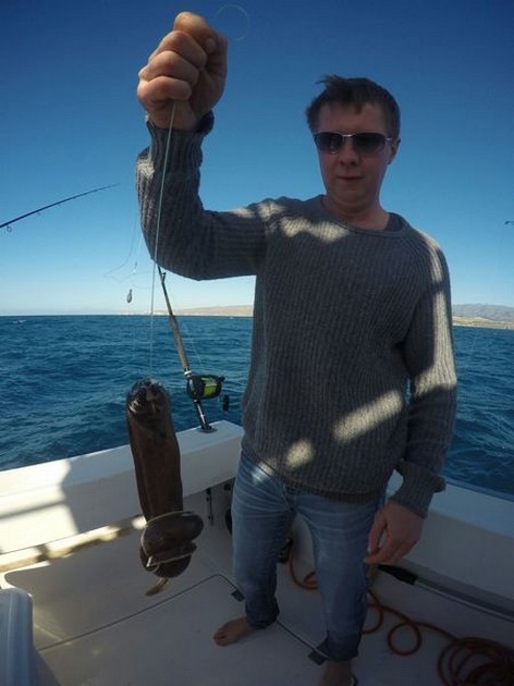 Moray Eel Cavalier & Blue Marlin Sport Fishing Gran Canaria