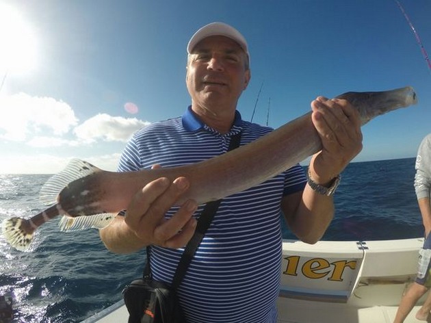 Trumpetfish Cavalier & Blue Marlin Sport Fishing Gran Canaria