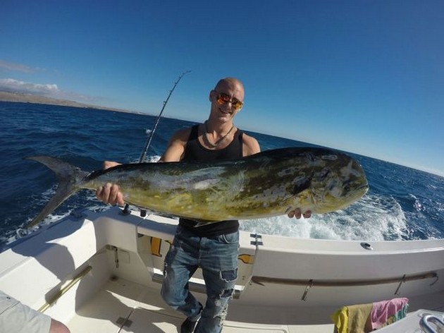 Dorado Cavalier & Blue Marlin Sport Fishing Gran Canaria
