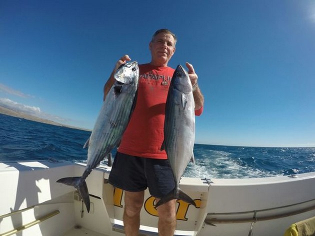 North Atlantic Bonito caught by Enzo from Italy Cavalier & Blue Marlin Sport Fishing Gran Canaria