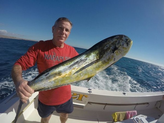 Dorado Cavalier & Blue Marlin Sport Fishing Gran Canaria