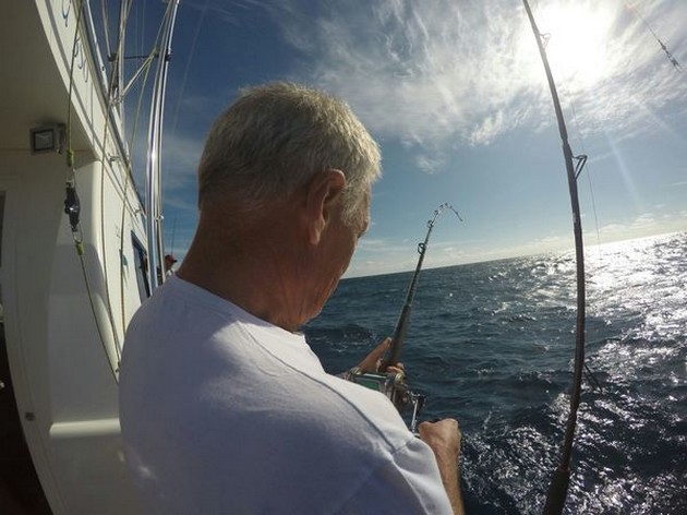 Hooked up Cavalier & Blue Marlin Sport Fishing Gran Canaria