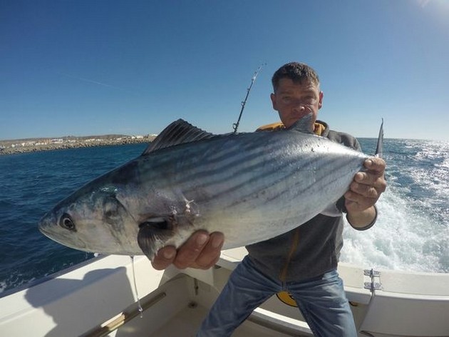 North Atlantic Bonito - Mickey Gratz  from Germany  caught this 27 lbs North Atlantic Bonito Cavalier & Blue Marlin Sport Fishing Gran Canaria