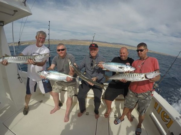 3 Barraciuda, 2 Noord Atlantische Bonito en 9 Roggen Cavalier & Blue Marlin Sport Fishing Gran Canaria