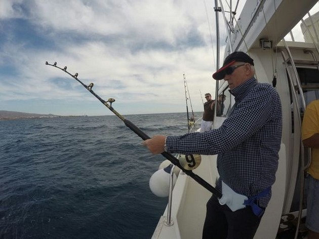 Hooked Up Cavalier & Blue Marlin Sport Fishing Gran Canaria
