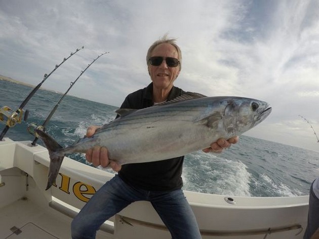 Atlantic Bonito - Einar Aasen from Norway Cavalier & Blue Marlin Sport Fishing Gran Canaria