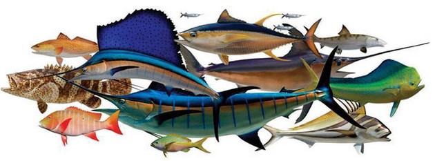  - Cavalier & Blue Marlin Sport Fishing Gran Canaria