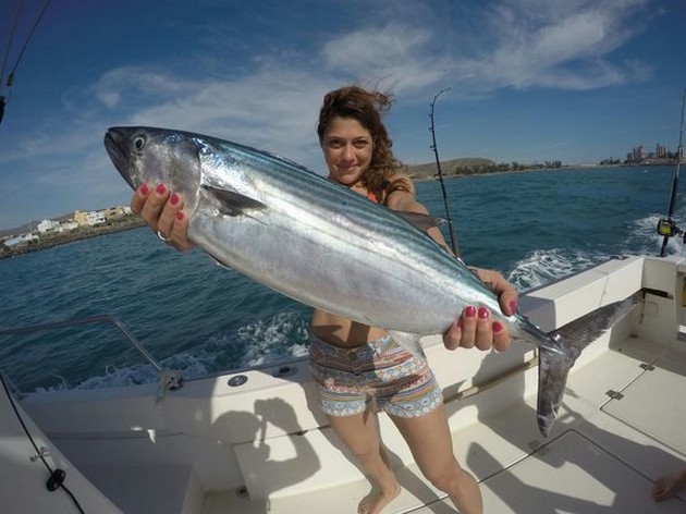 North Atlantic Bonito Cavalier & Blue Marlin Sport Fishing Gran Canaria