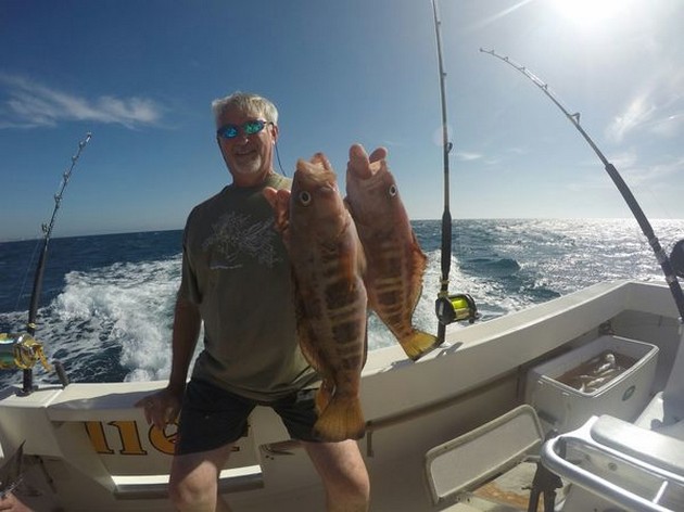 Combers Cavalier & Blue Marlin Sport Fishing Gran Canaria