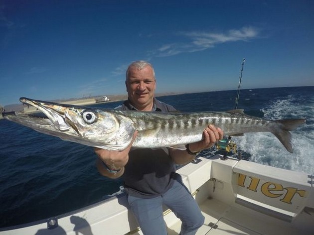 Barracuda - André van der Heijden caught this Barracuda onboard of the boat Cavalier Cavalier & Blue Marlin Sport Fishing Gran Canaria