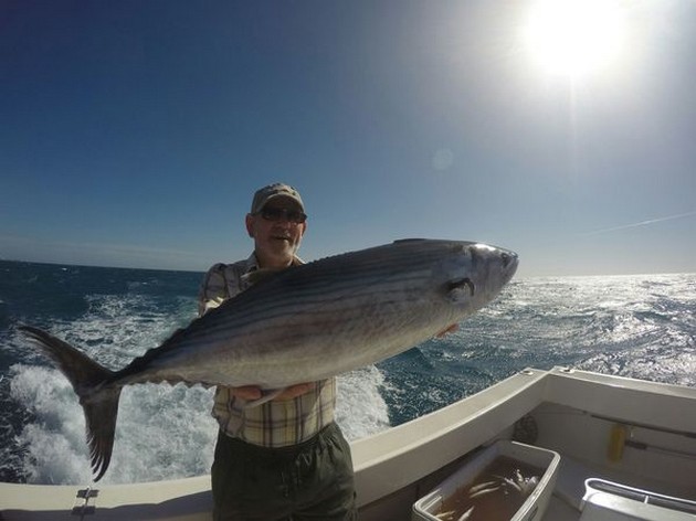 North Atlantic Bonito caught by Freek Morees from Holland Cavalier & Blue Marlin Sport Fishing Gran Canaria