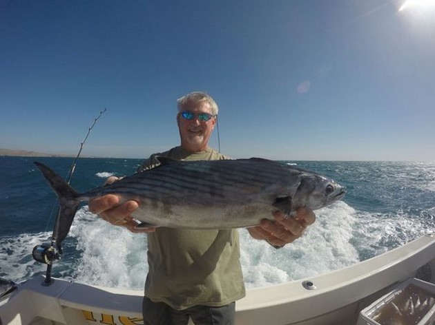 North Atlantic Bonito - Willie Vermeulen from Belgium Cavalier & Blue Marlin Sport Fishing Gran Canaria