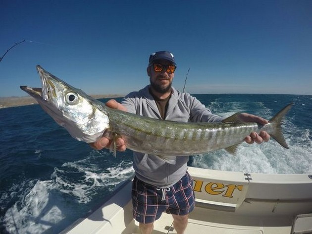 Barracuda - Beautifull catch Cavalier & Blue Marlin Sport Fishing Gran Canaria