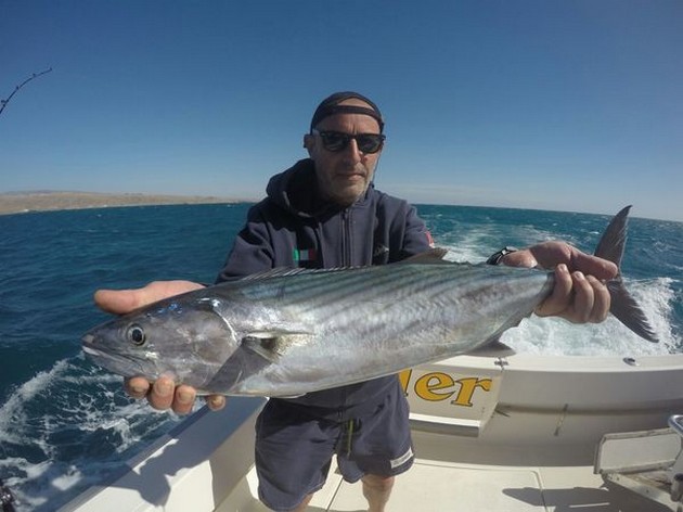 North Atlantic Bonito Cavalier & Blue Marlin Sport Fishing Gran Canaria