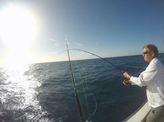 Hooked Up Cavalier & Blue Marlin Sport Fishing Gran Canaria