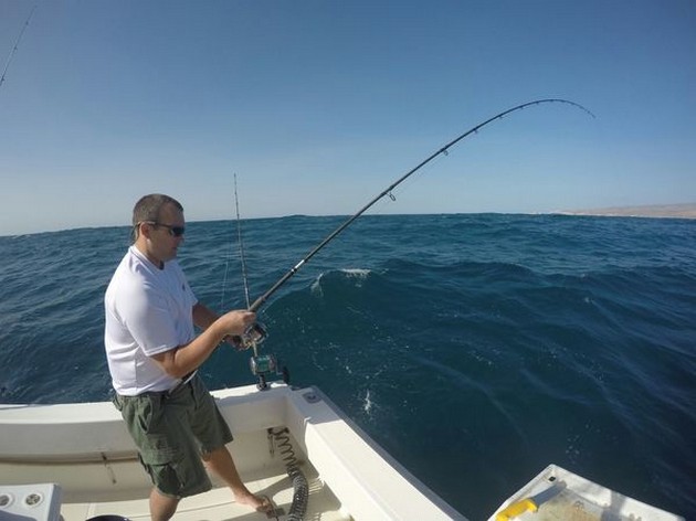 Good day of fishing Cavalier & Blue Marlin Sport Fishing Gran Canaria