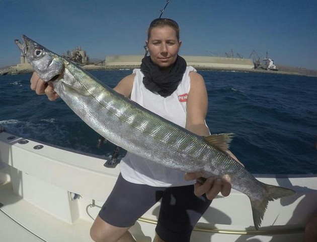 Barracuda - Birge Rausch from Germany onboard of the boat Cavalier Cavalier & Blue Marlin Sport Fishing Gran Canaria