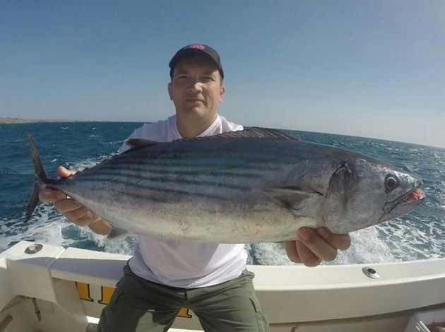 North Atlantic Bonito caught by Michael Rausch from Germany Cavalier & Blue Marlin Sport Fishing Gran Canaria