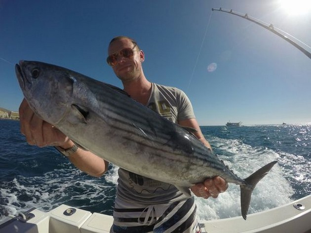 North Atlantic Bonito caught by Juul Geuts from Holland Cavalier & Blue Marlin Sport Fishing Gran Canaria