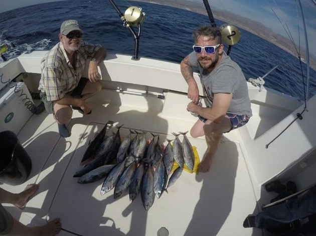 Skipjack Tuna Cavalier & Blue Marlin Sport Fishing Gran Canaria
