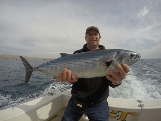 North Atlantic Bonito - Maik Könitzer from Germany Cavalier & Blue Marlin Sport Fishing Gran Canaria