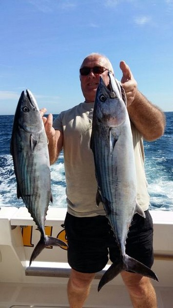 Nice Catch - Nice catch for Ken from England Cavalier & Blue Marlin Sport Fishing Gran Canaria