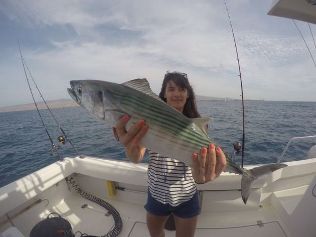 North Atlantic Bonito Cavalier & Blue Marlin Sport Fishing Gran Canaria