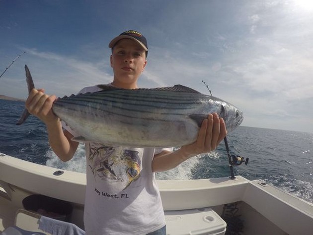 North Atlantic Bonito Cavalier & Blue Marlin Sport Fishing Gran Canaria