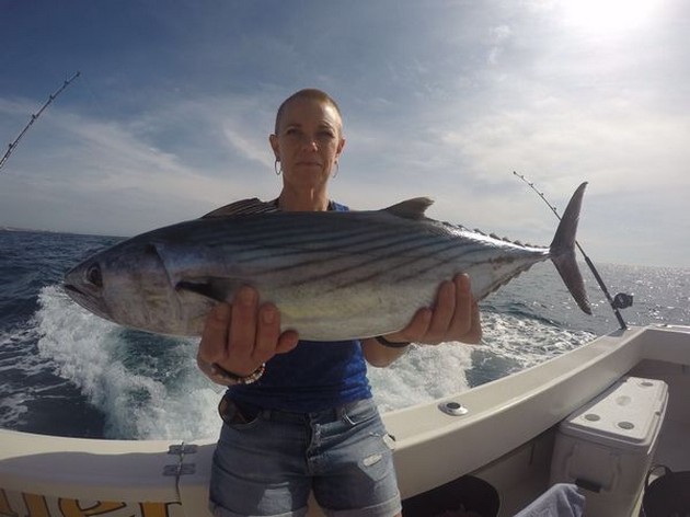 North Atlantic Bonito Cavalier & Blue Marlin Sport Fishing Gran Canaria
