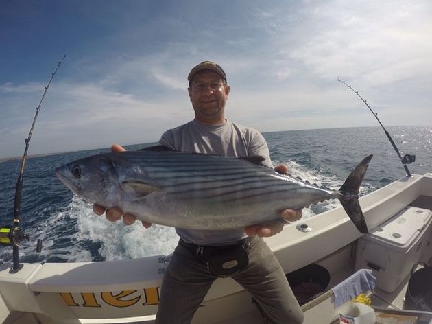 North Atlantic Bonito Cavalier & Blue Marlin Sport Fishing Gran Canaria