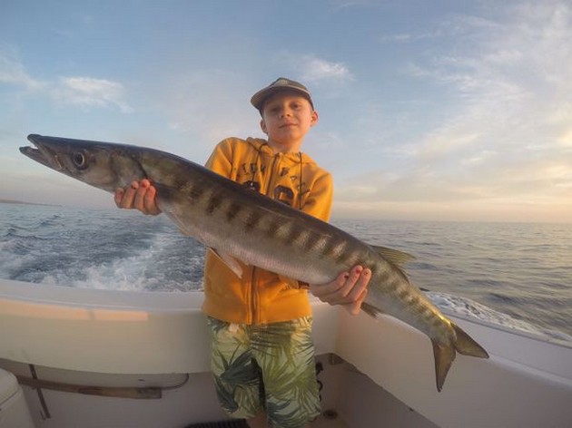 Barracuda - Beautifull Barracuda Cavalier & Blue Marlin Sport Fishing Gran Canaria