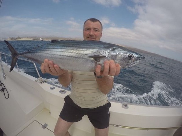 North Atlantic Bonito Cavalier & Blue Marlin Sport Fishing Gran Canaria