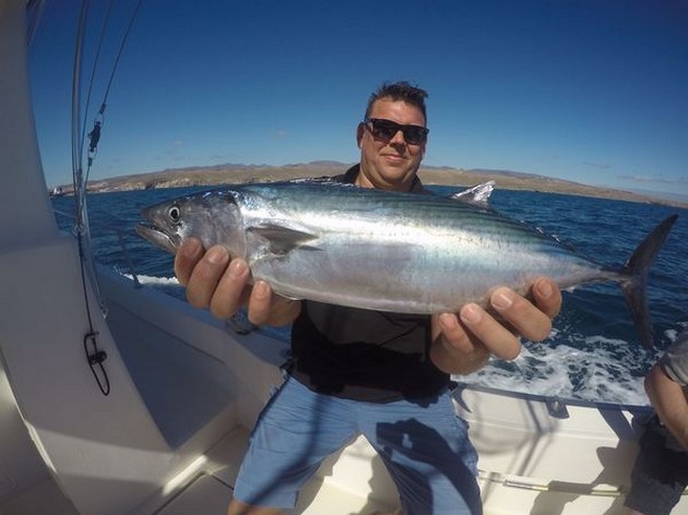 North Atlantic Bonito caught by John Nouws from Holland Cavalier & Blue Marlin Sport Fishing Gran Canaria