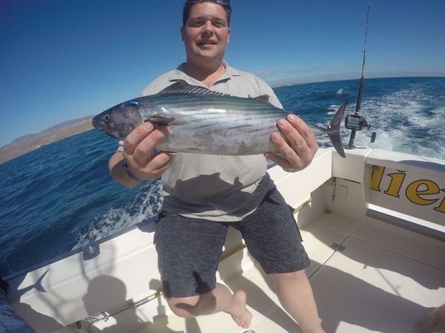 North Atlantic Bonito - Mark van Steen from Holland Cavalier & Blue Marlin Sport Fishing Gran Canaria