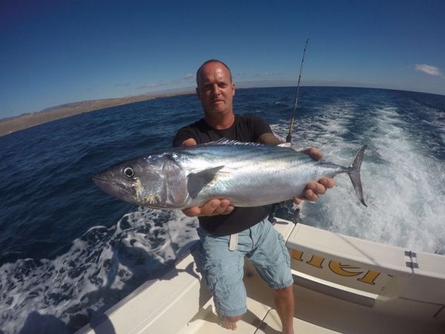 North Atlantic Bonito caught by Gard aasvangen from Norway Cavalier & Blue Marlin Sport Fishing Gran Canaria