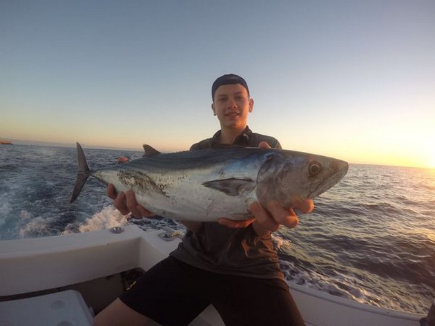 North Atlantic Bonito Cavalier & Blue Marlin Sport Fishing Gran Canaria