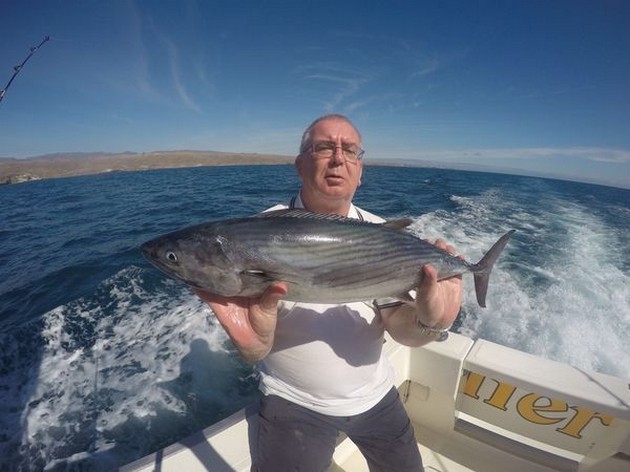 North Atlantic Bonito - Klaas Westerhof from Holland Cavalier & Blue Marlin Sport Fishing Gran Canaria