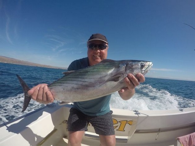 North Atlantic Bonito Cavalier & Blue Marlin Sport Fishing Gran Canaria