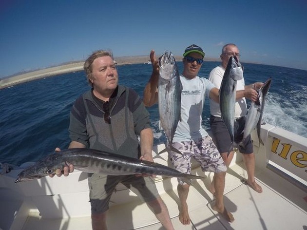 Barracuda en Atlantische Bonito Cavalier & Blue Marlin Sport Fishing Gran Canaria