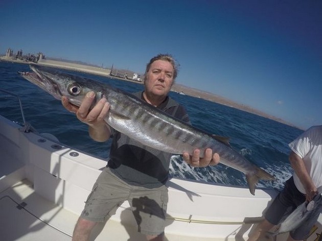 Barracuda caught by Willman Jyri from Finland Cavalier & Blue Marlin Sport Fishing Gran Canaria