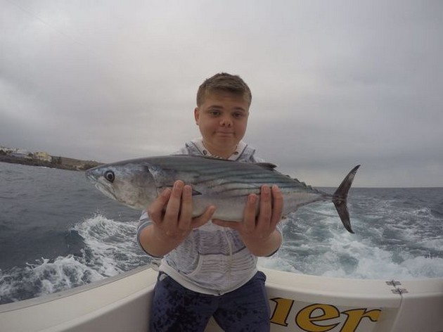 North Atlantic Bonito - Wjadystan from Polen Cavalier & Blue Marlin Sport Fishing Gran Canaria