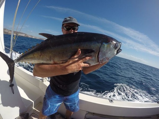 February Photo Archive 2016 Cavalier & Blue Marlin Sport Fishing Gran Canaria